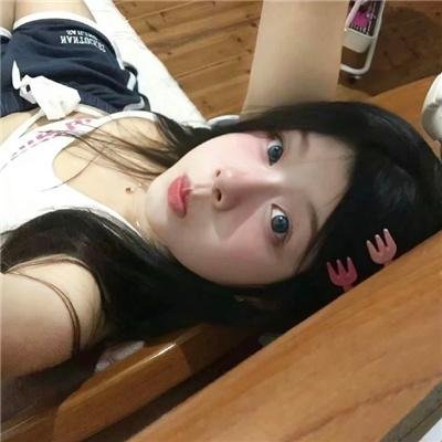 国际啄木鸟