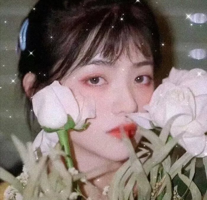 家有儿女新传